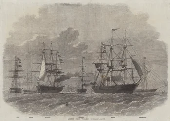 Dundee-Schraubenwalfänger